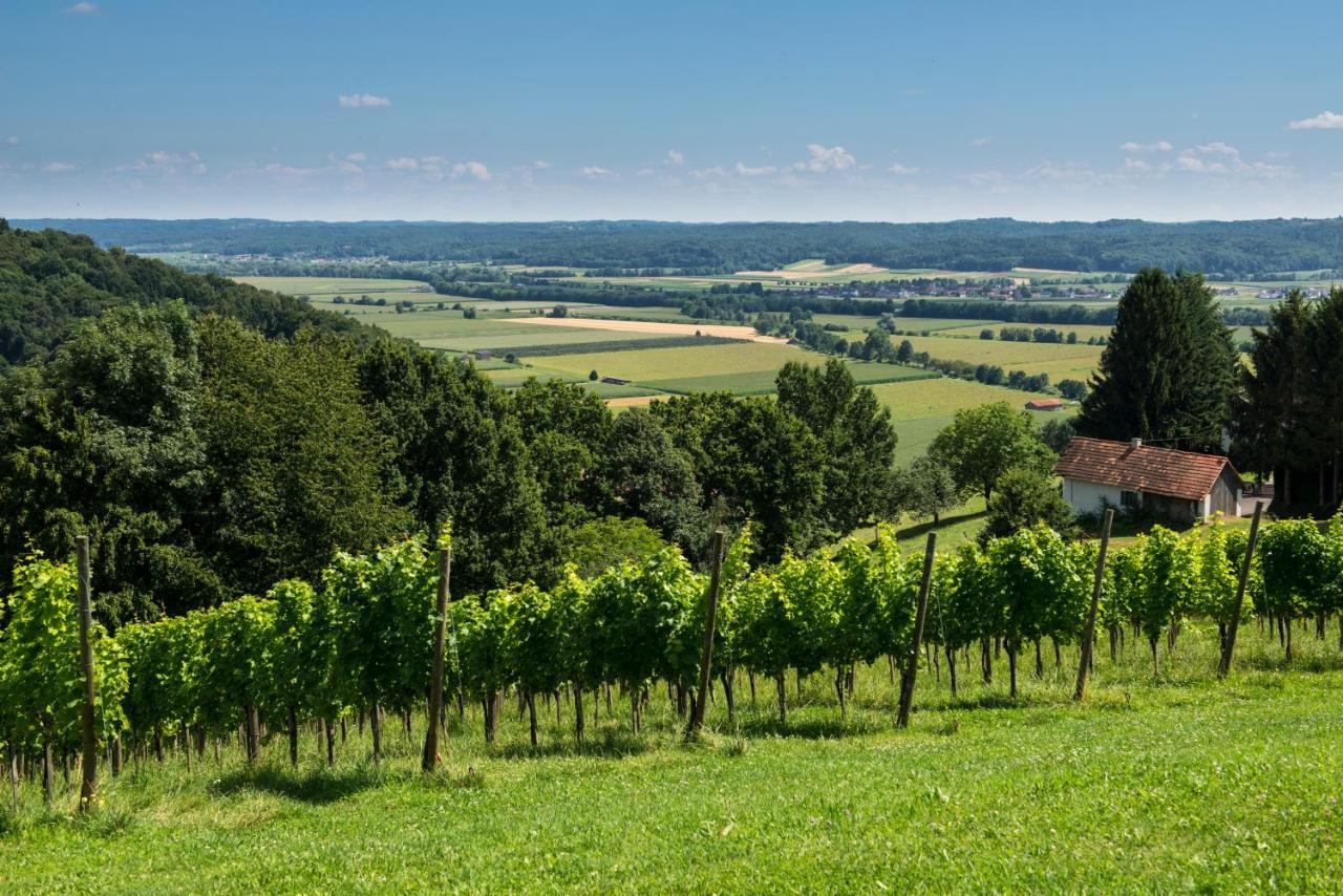 Ferienhaeuser Im Weingarten Fehring Eksteriør bilde